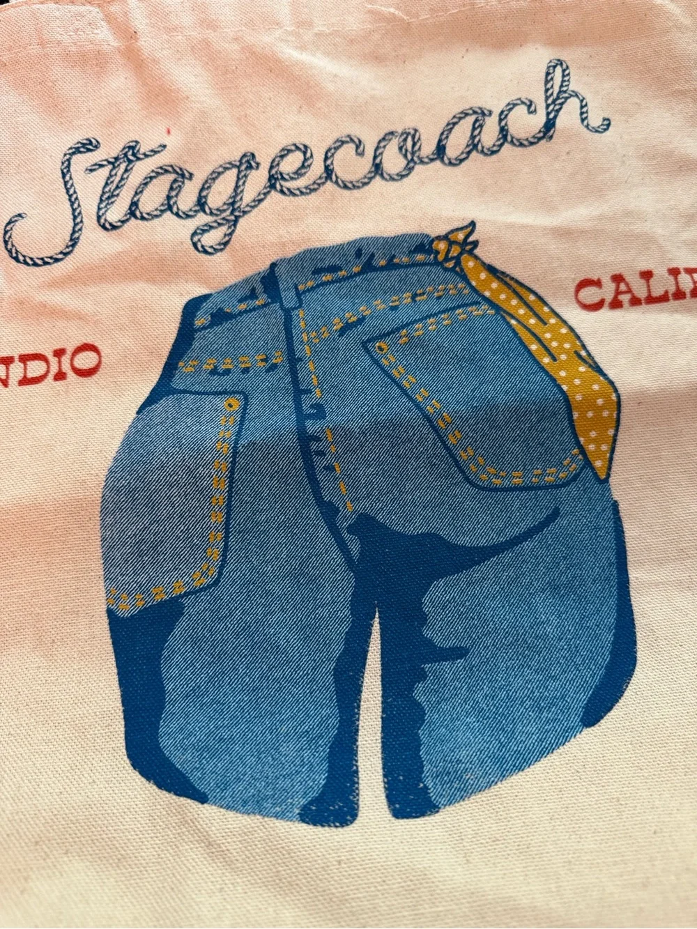 American Eagle x Stagecoach Festival collab NEW canvas tote bag